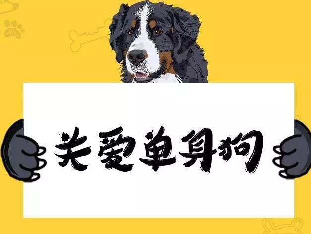 冬季围巾,百种搭配方式,你学会了吗!