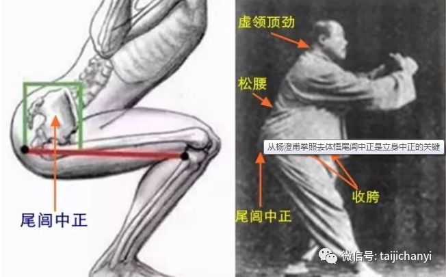 从杨澄甫拳照去重新体悟尾闾中正__凤凰网