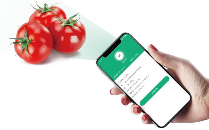免費試用屢獲殊榮的睿農寶農產品可視化追溯系統為農場產銷助力