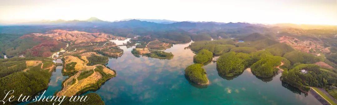 博白县首届“中国农民丰收节”暨一起同柑文化节圆满落幕__凤凰网