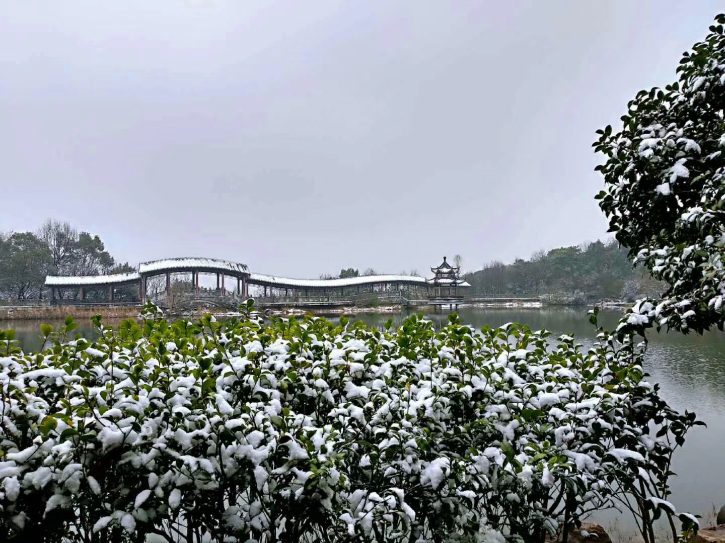 长沙,下雪了！！！_摄影_小布_网友