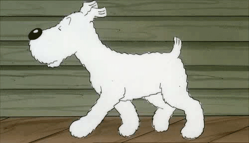 他叫丁丁,是《丁丁历险记》的主角.