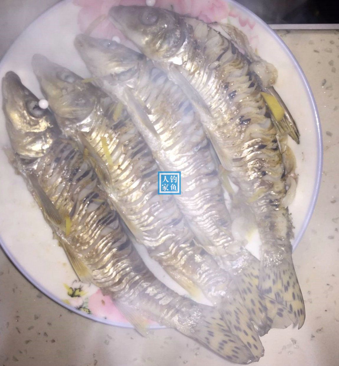 山溪入水口,探钓百元一斤的花骨鱼,收获满满一盆野生极品花骨鱼__凤凰