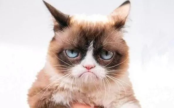 起鸡皮疙瘩是肾上腺素吗(起鸡皮疙瘩是肾上腺素吗图片) 起鸡皮疙瘩是肾上腺素吗(起鸡皮疙瘩是肾上腺素吗图片)