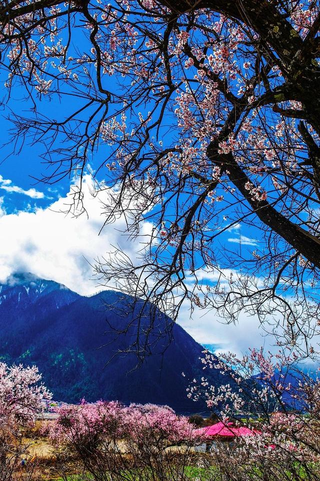 640_961竖版 竖屏