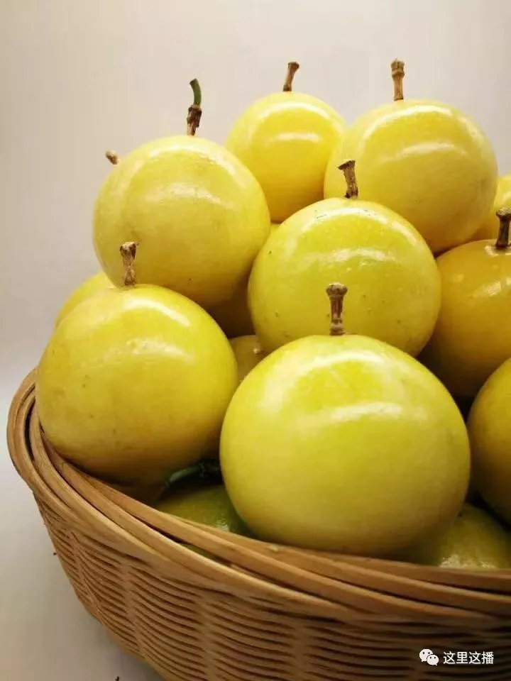 这里这播赴广西北流市新圩镇百香果基地--特产美食节目01