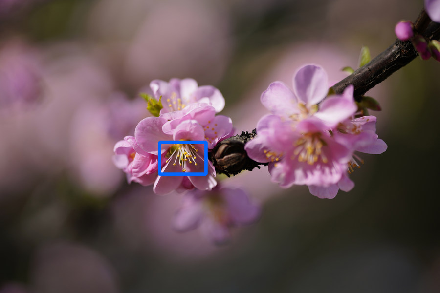 全画幅微单专属"空气切割机" 索尼fe 135mm f1.8 gm镜头评测