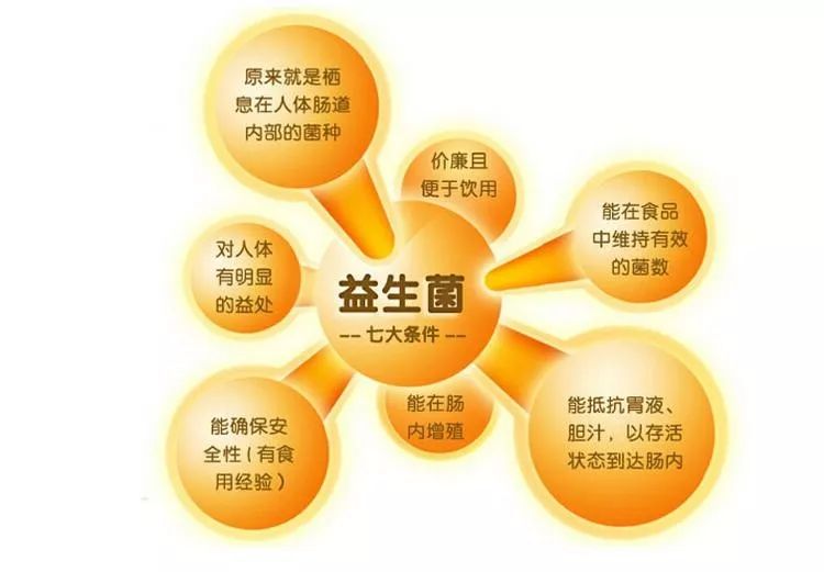 益生菌是动物及人体有益的微生