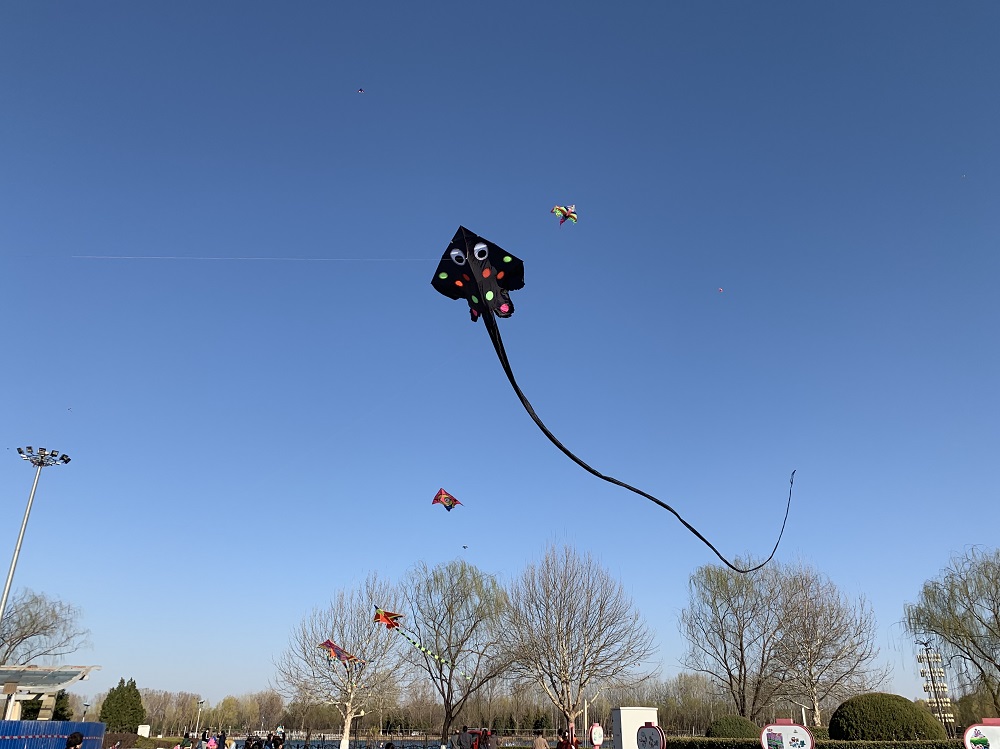 放风筝也得看天玩耍 再等三天就有好天气