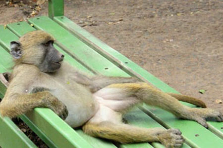 你这份黯然销魂凉面做法,要吗?