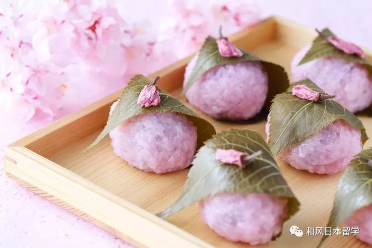 日本传统和菓子「樱饼」，外面包的叶子到底能不能吃？__凤凰网