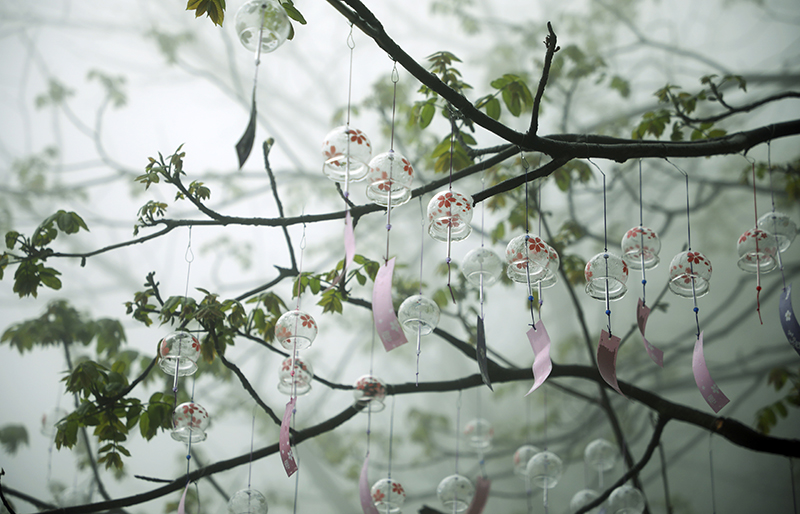 微雨中的陕西少华山云雾缭绕犹如仙境你见过吗来看一看