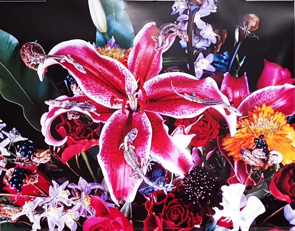 荒木经惟摄影展.花幽 | 南艺 #作品200p