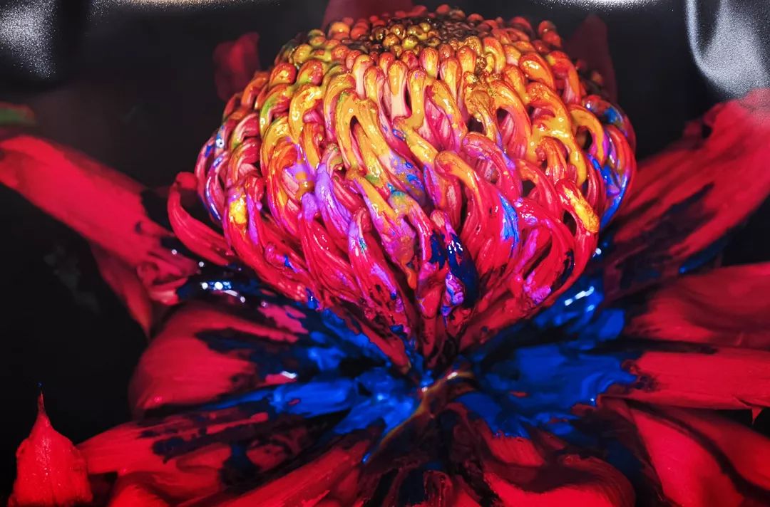 荒木经惟摄影展.花幽 | 南艺 #作品200p