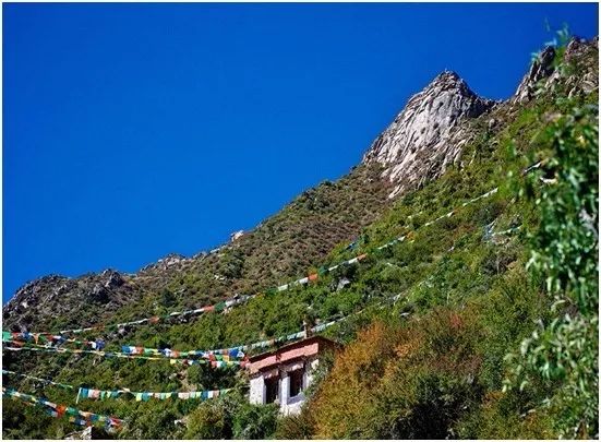 西藏青朴:奇妙的石雕像,深埋地下古经书,深山修行之地__凤凰网