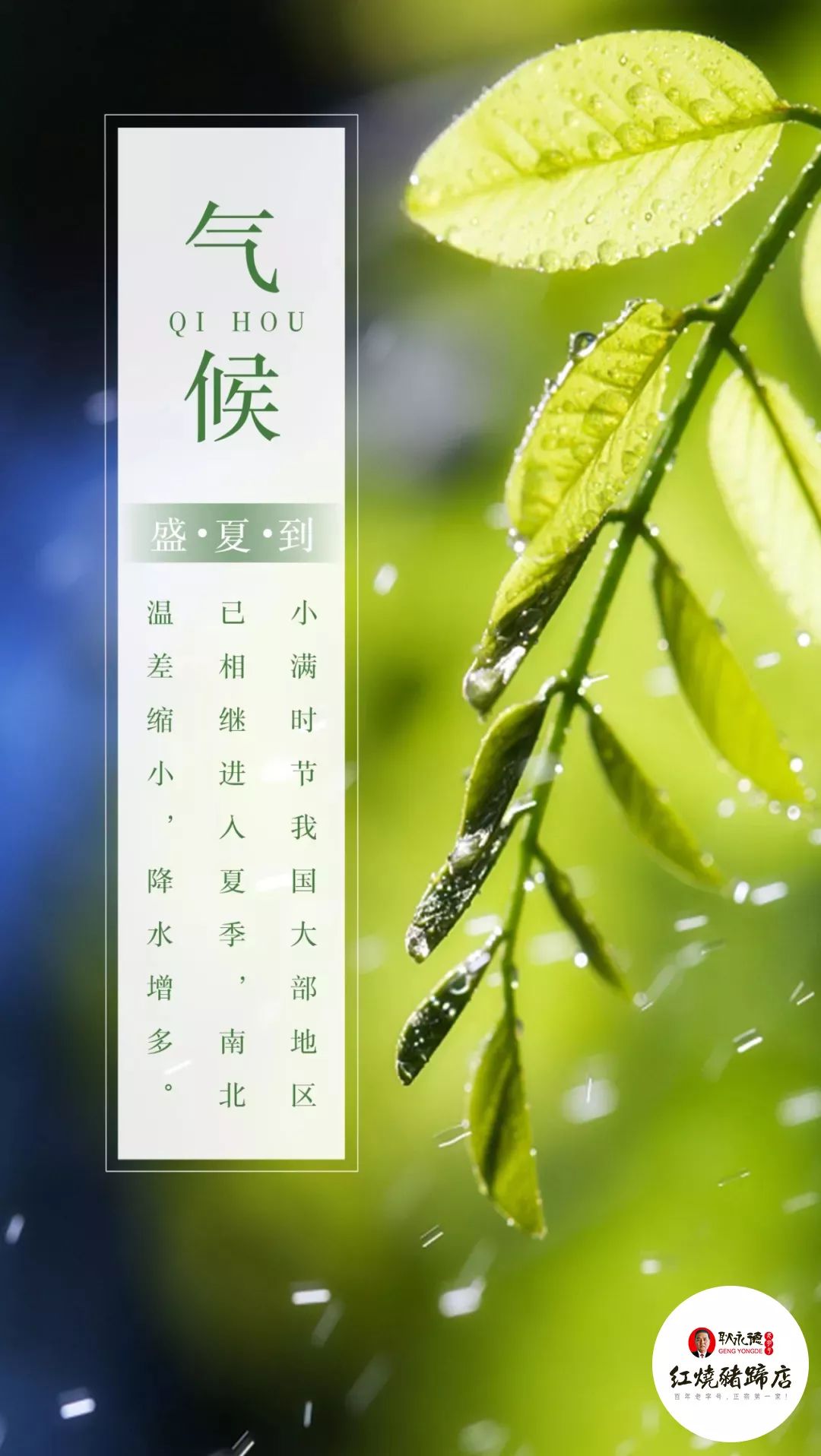 「王洛耿永德红烧猪蹄」大话24节气之小满 | 盈而未满,人生至境