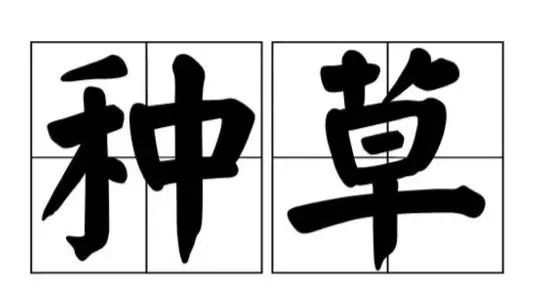 特别关注丨“种草经济”大火,你被“种草”了吗?__凤凰网