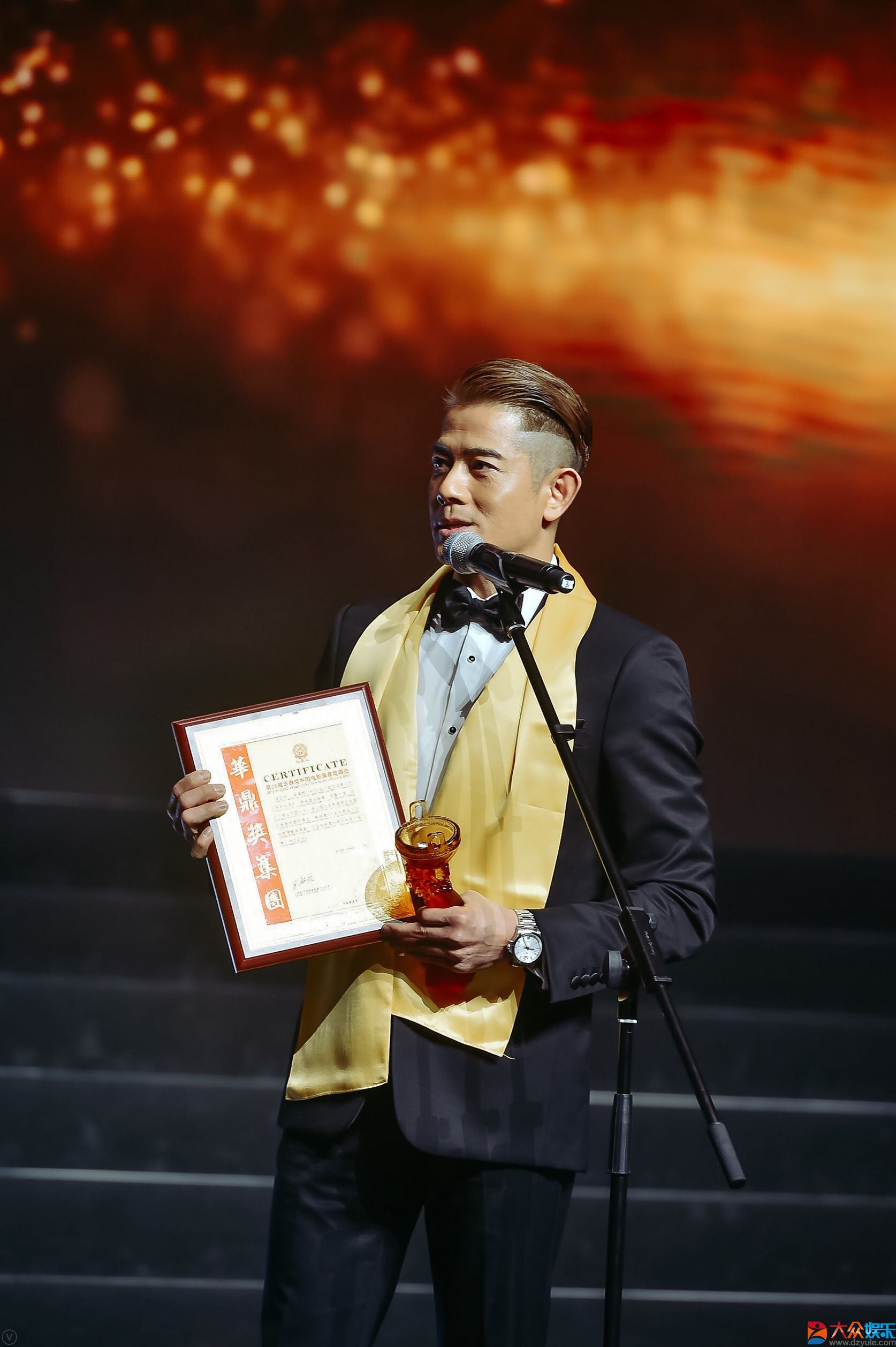 第25届华鼎奖获奖名单揭晓郭富城马伊琍分获最佳男女