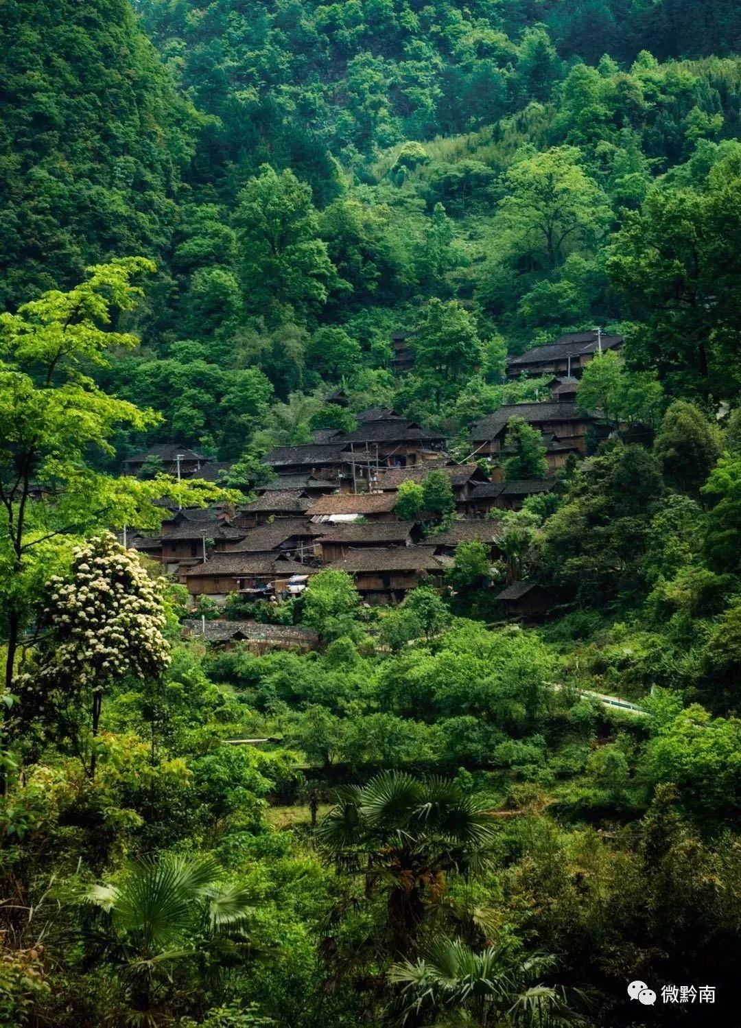 黔南这个古老神秘的村寨,惊艳世人!__凤凰网