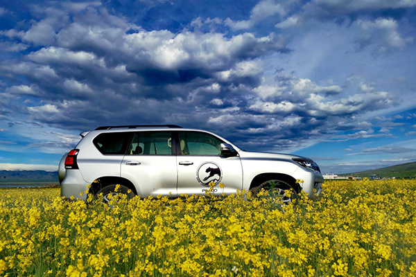 一汽丰田suv家族一路"豹"发