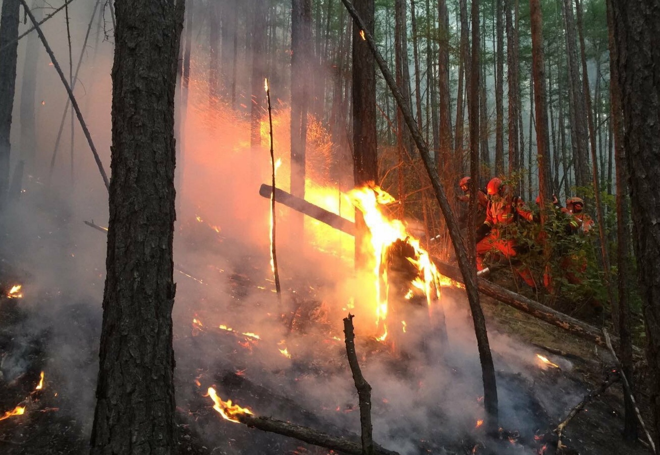 大兴安岭遭遇雷击起火,目前明火已被扑灭