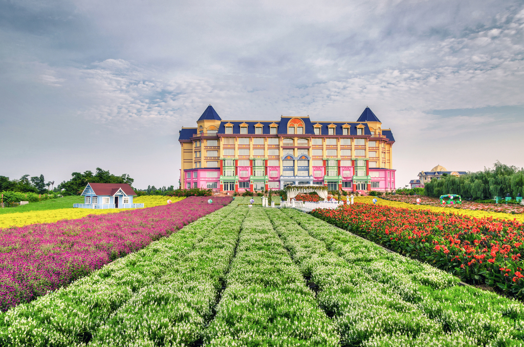 百万葵园的夏天,俩小姐妹的快乐时光. 打开凤凰新