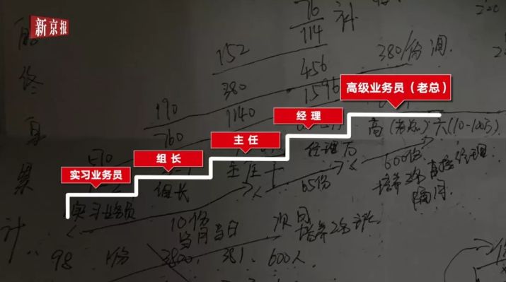 样的告诉你,这门生意之所以赚钱是因为"有一个非常公平的奖金分配模式