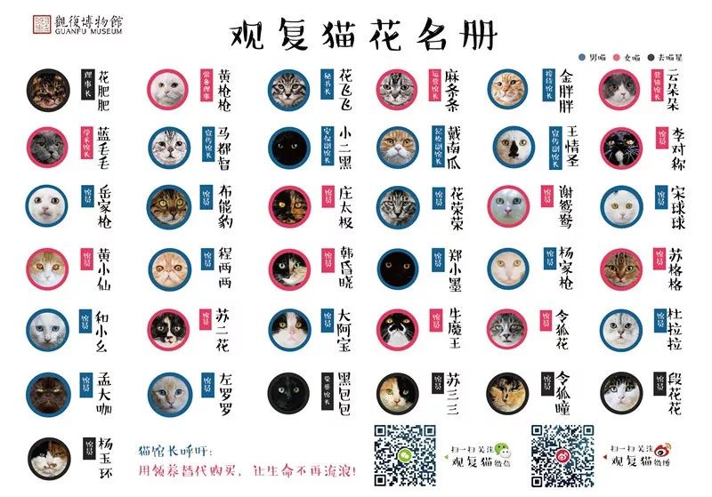 马未都|猫的新时代