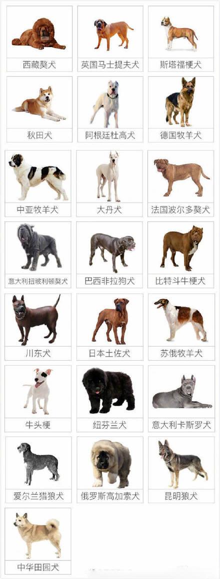 禁养犬名单《周礼》秋官疏记载:犬有三种,一者田犬,二者吠犬,三者食犬