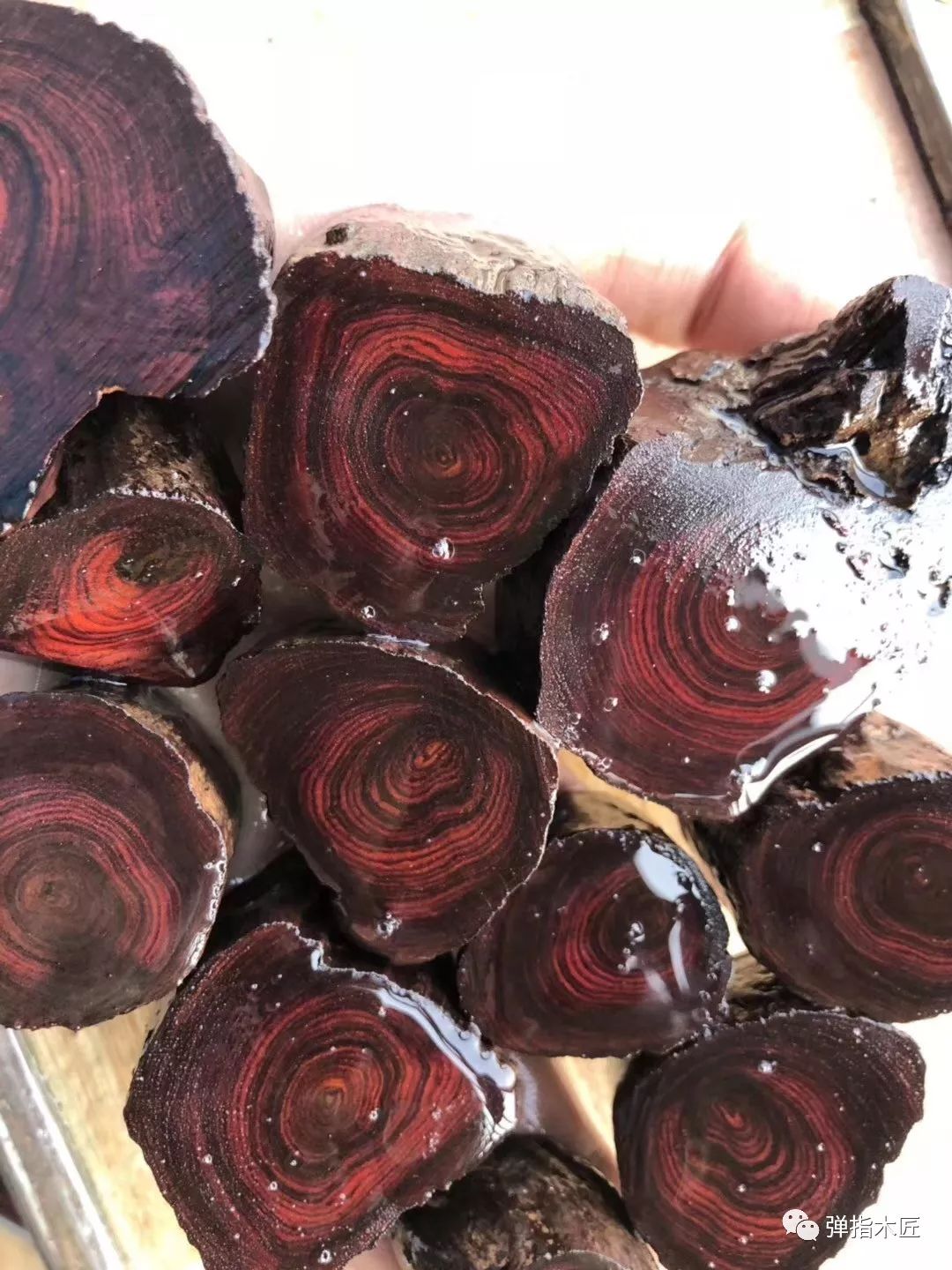 海黄蜘蛛纹手串 9 x形纹 纹如其名,这种x形纹路