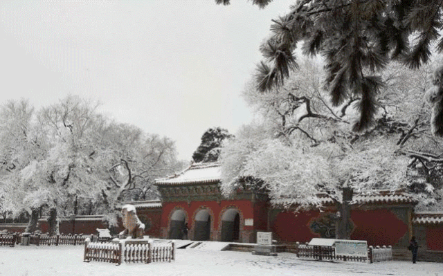 领略北国风光,畅游冰雪王国__凤凰网