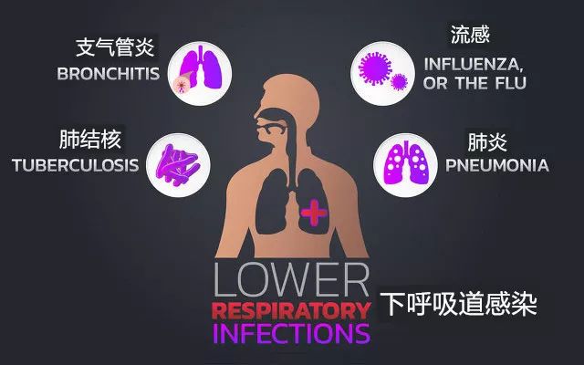 流感也能致命?关于流感你不得不知道的内幕_凤凰网健康_凤凰网