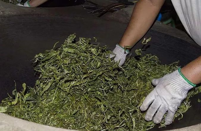 黑茶和白茶有什麼區別,哪種茶葉品質更好?__鳳凰網