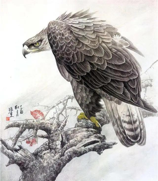 张策的鹰的作品图片