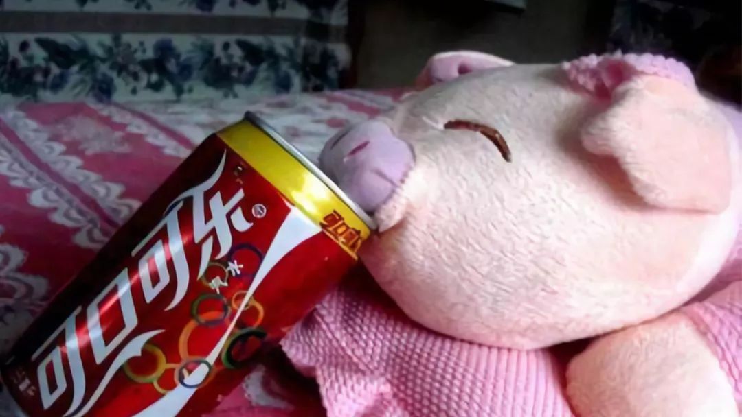涨姿势可乐猪是喝可乐长大的吗还是肉吃起来是可乐味的