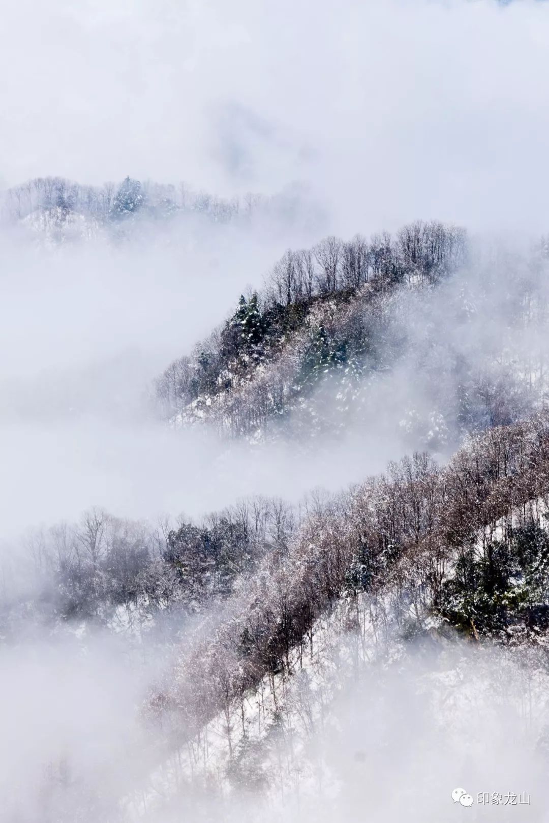 那山,那雪,那景,那人__凤凰网