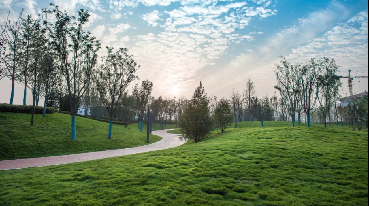 现代城市公园应该怎样发展,有哪些设计师需要了解的