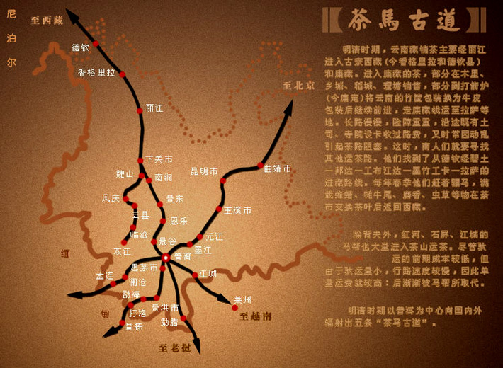 茶马古道的主要路线有两条: (1)从云南普洱茶原产地(今西双版纳,思茅