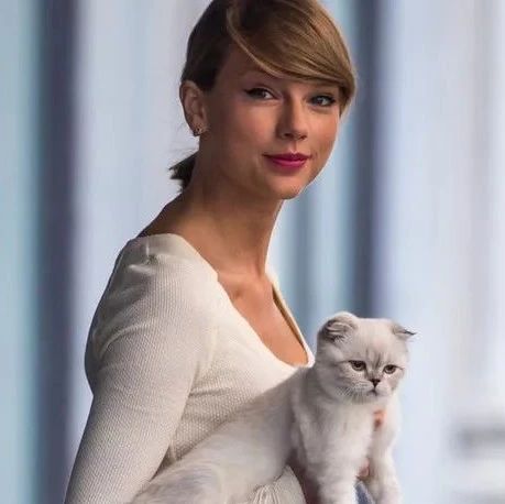  OMG | 霉霉的猫身价9位数，我真是个失败的人类_凤凰网