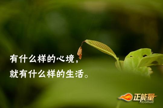 干净的人，干净的家，干净的心__凤凰网