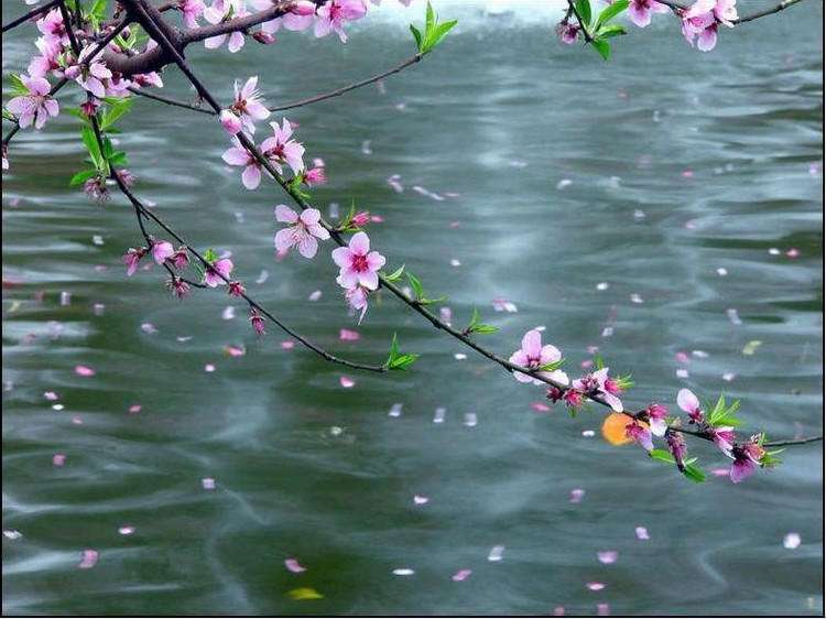 桃花落处无人见,濯手惟闻涧水香. ——宋代:黄公度《暮春山间》