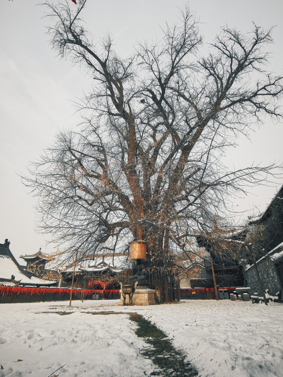 雪落终南山冬天来古观音禅寺看雪景很有长安的感觉