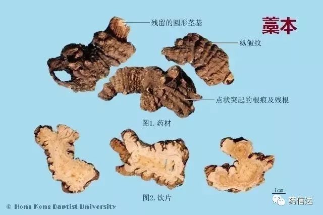 中药知识:220种常用中药材(含饮片)鉴别彩图__凤凰网