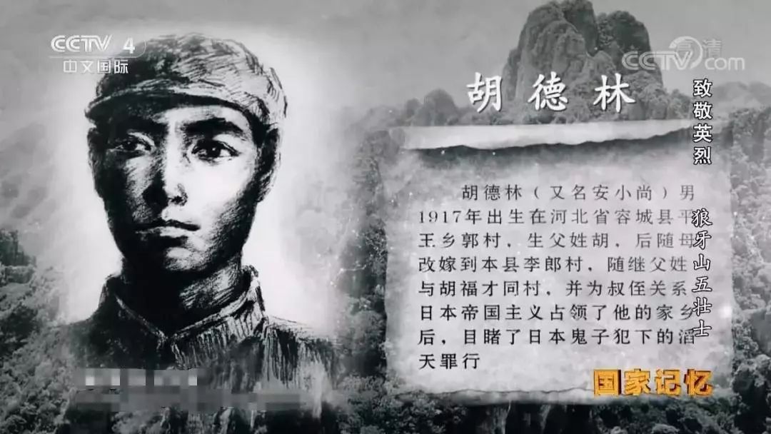 他是真正的英雄,却从未跟儿子提起!今天,纪念狼牙山五壮士!