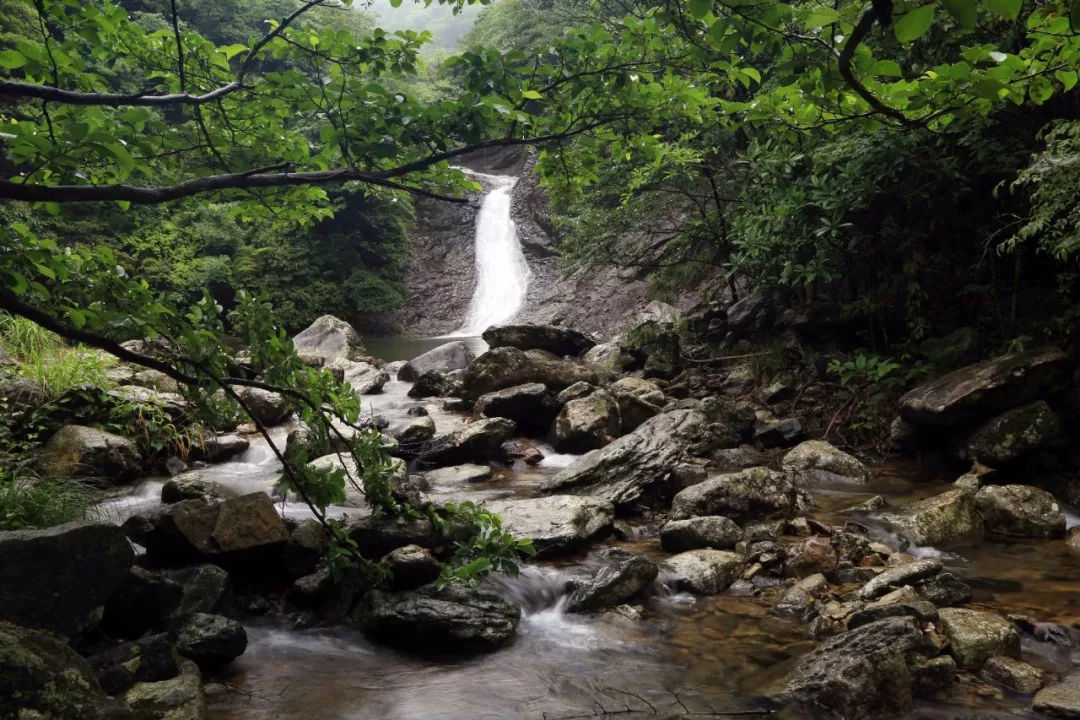 【牧云谷景区】中国牧云森氧草甸度假区一期景区