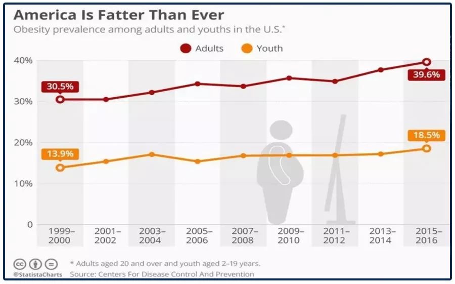 美国肥胖率图片