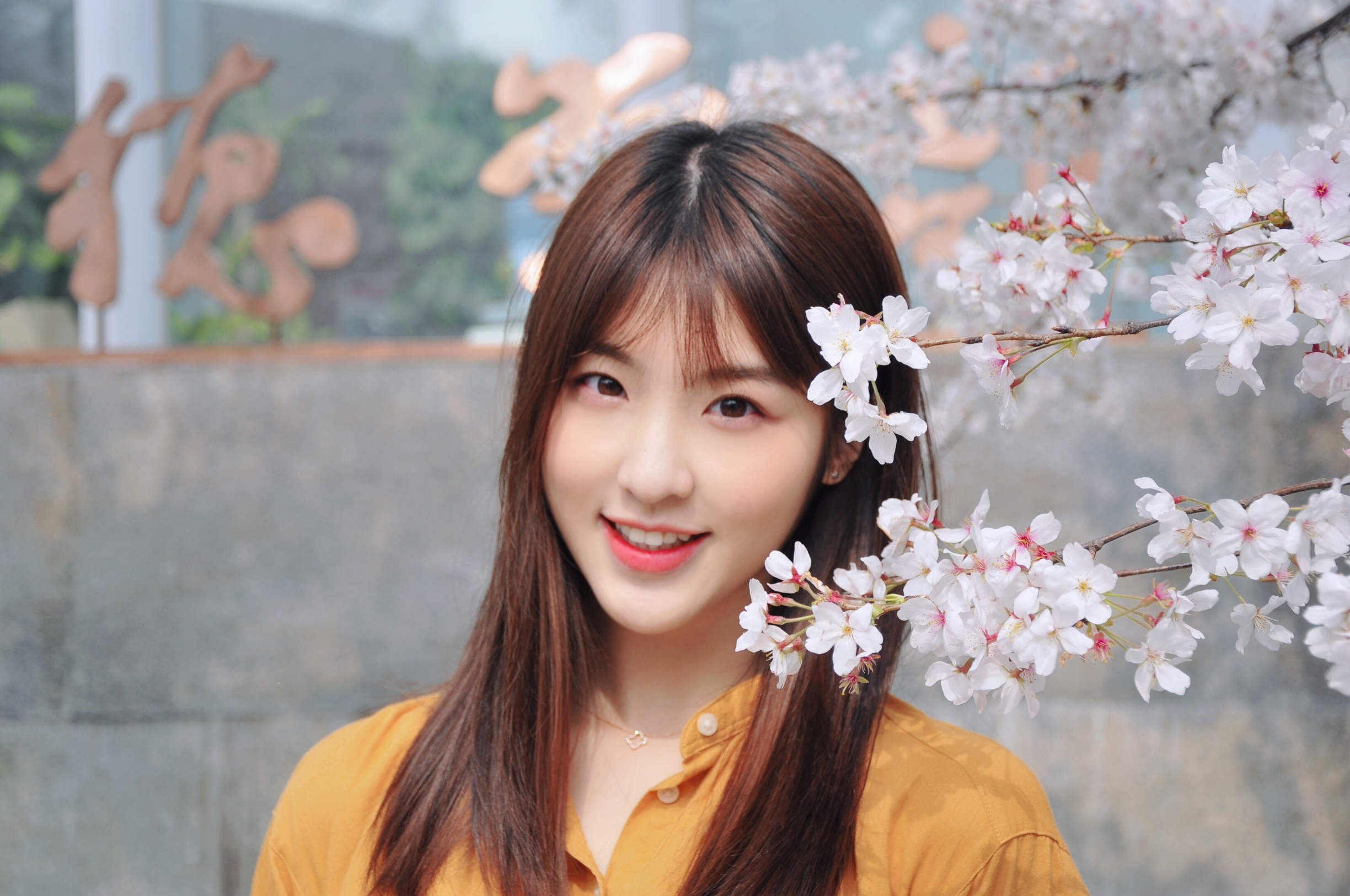 你好对方辩友林昕宜写真曝光好一张清灵校花初恋脸