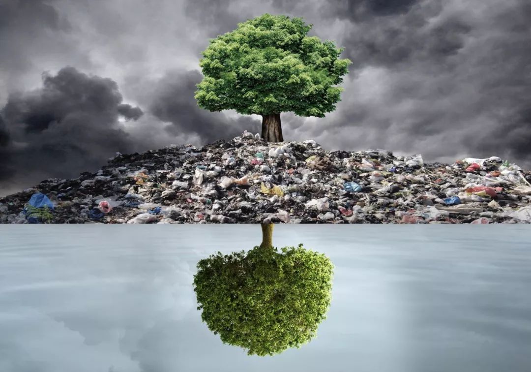 严重2土地荒漠化3草场退化4森林资源危机5水资源短缺6生物多样性减少