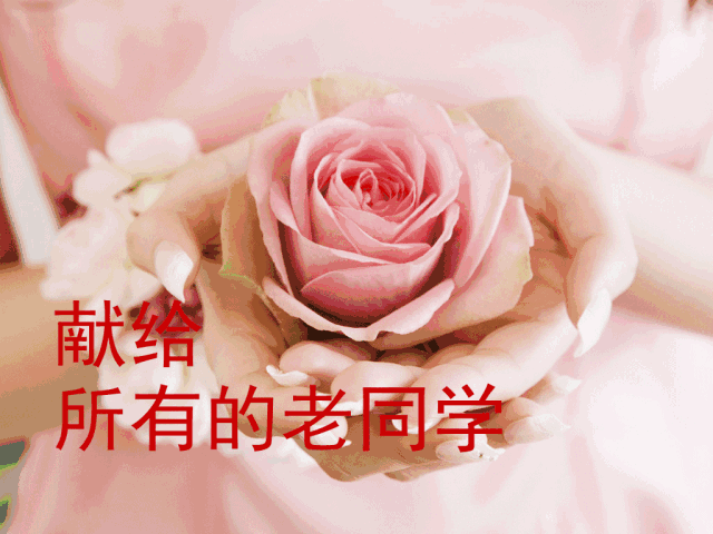 老同学相册送给所有老同学