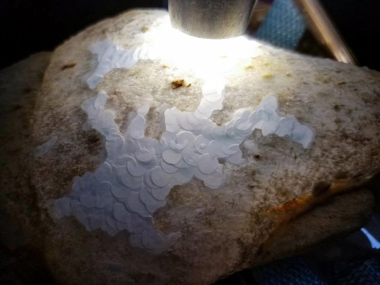 翡翠原石这就是你所没见过的玻璃种翡翠原石太美了